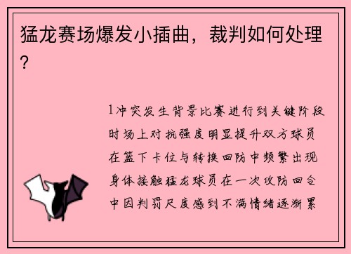 猛龙赛场爆发小插曲，裁判如何处理？